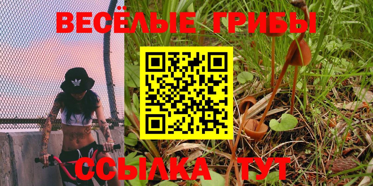 Донской  Псилоцибиновые грибы мухоморы  Галлюциногенные грибы прущие грибы  магазин продажи   Вход с VPN 