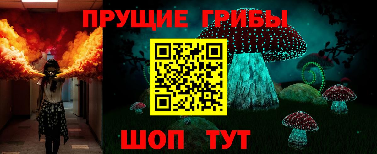 Псилоцибиновые грибы Cubensis Донской